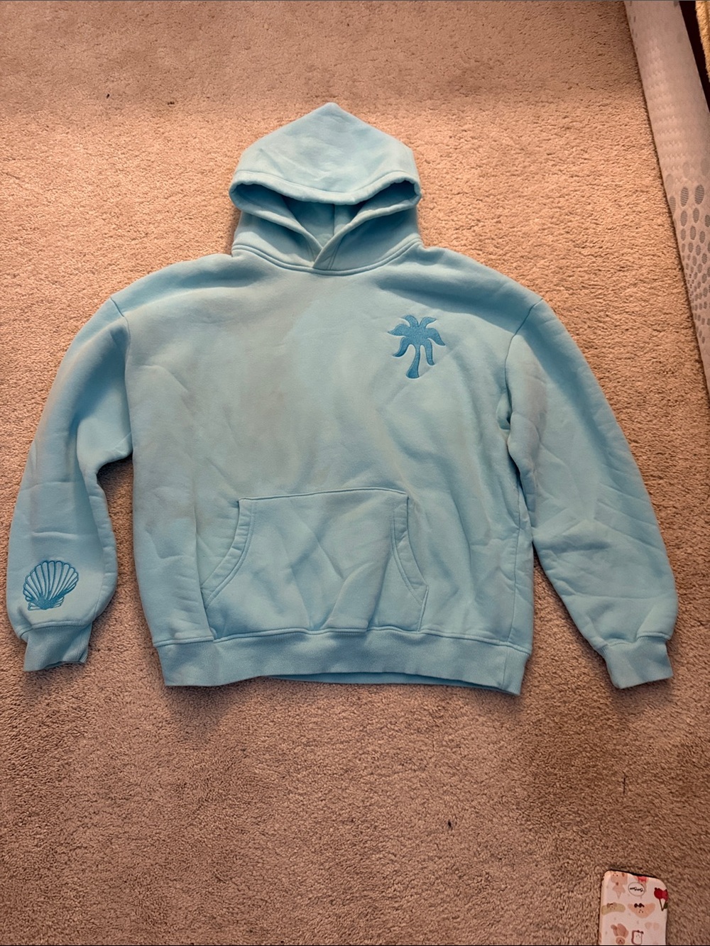 Light Blue Pink Palm Puff Embroidered Hooded Sweatshirt-Stain on right side